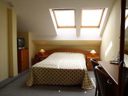 Hotel Alexandra Pobiedziska Bagian luar foto